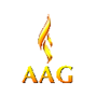 Academy Of Animation And Gaming