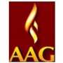 Academy Of Animation And Gaming
