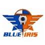 Blue Iris School Of Animation BISA