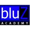 Bluz Academy