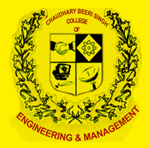 Chaudhary Beeri Singh College Of Engineering And Management