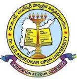 Dr B R Ambedkar Open University