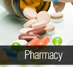 Lakhmi Chand Patwari College Of Pharmacy