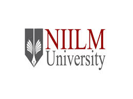 NIILM University
