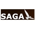 Seagull Animation And Gaming Academy SAGA 