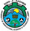 Sher E Kashmir University Of Agricultural Science And Technology