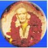 Sri Sainath Postgraduate Institute Of Homeopathy