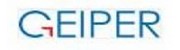 GEIPER Consulting