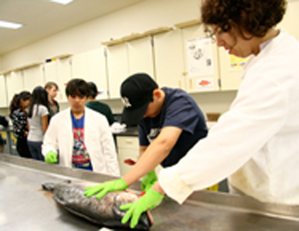 Career Options in Fishery Science