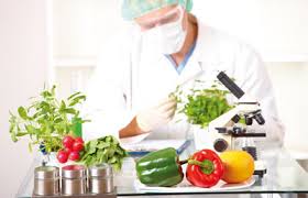 Career Options in Food Science