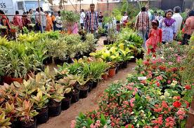 Career Options in Horticulture